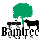 BainTree Angus